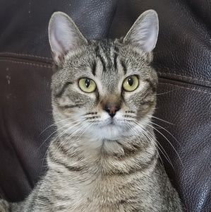 Meet your Posher, Elyane